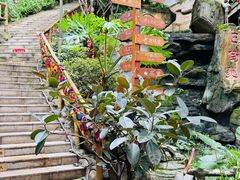 -巴倒烫陆派火锅山庄(南山总店)