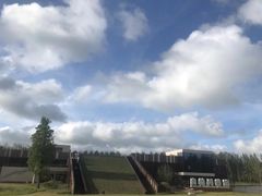 -黄海国家森林公园