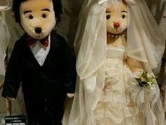 android_upload_pic-济州岛泰迪熊博物馆