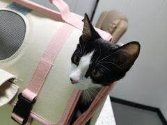 -半岛宠物医院24小时(科华中路店)
