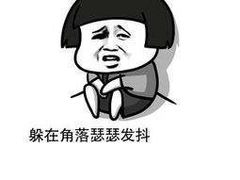 -晋直驾校