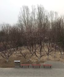 -大望京儿童游乐场