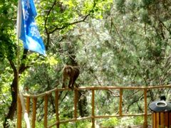 -北京上方山国家森林公园