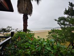 -普陀山风景名胜区-千步大沙