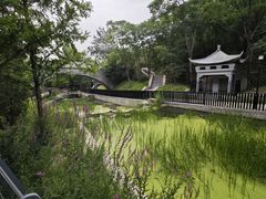 -白水寺森林公园