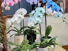 -L.C FLORA花予你(城西银泰城店)
