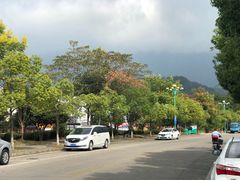 -宜城私房菜.臭鳜鱼(九华新街店)