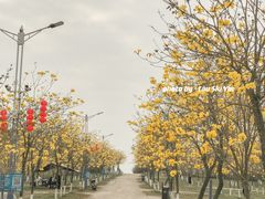 -田园寨农园观光园