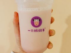 -一只酸奶牛(八一路店)