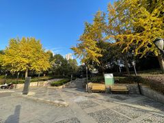 -苏州河梦清园环保主题公园