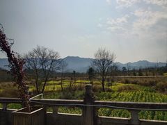 -炎帝陵景区