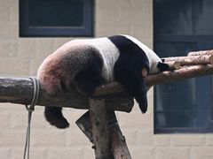 -石家庄市动物园