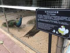 -厦门悦华酒店