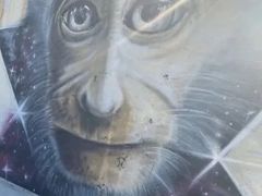 -槟城街头艺术街区