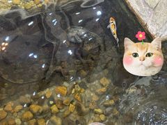 -伯乐居茶艺馆(石岐大信店)