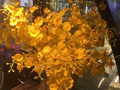 -欢乐牧场海鲜烤肉自助(牡丹园店)