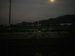 -大赤坎肥仔强烧味海鲜餐厅(大赤坎店)
