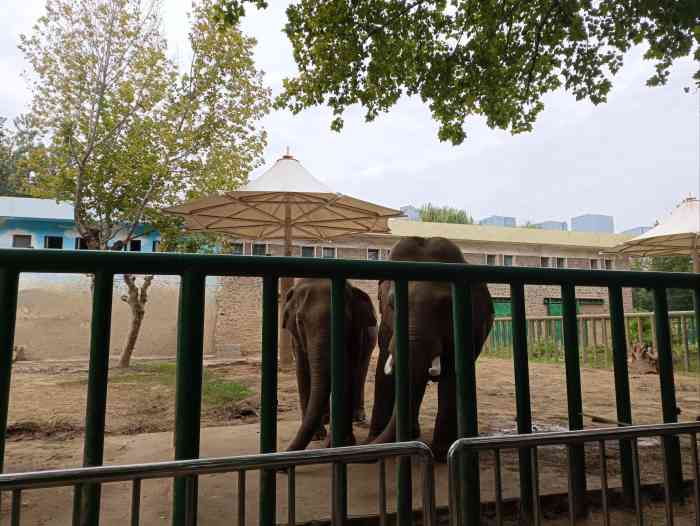 鄭州市動物園