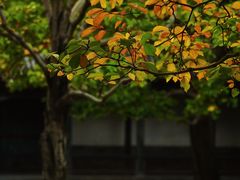 -颐和园