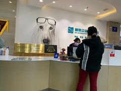 -美联众合动物医院·24h转诊中心