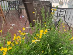 -Beans Solo豆号咖啡(百家湖花园店)