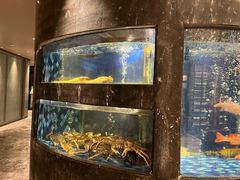 -陶陶居·雅园(凯华国际店)