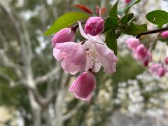 -徐家汇源景区-衡山公园