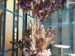 -喵屿·大理花园猫咖