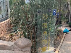 -北京植物园-展览温室