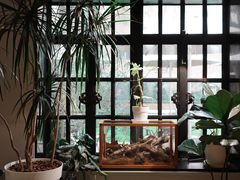 -一尺花园(安和花园店)