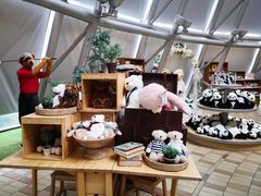 -济州岛泰迪熊博物馆