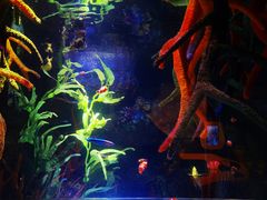 -沈阳海洋探索中心