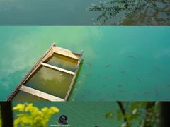 -广州白江湖森林公园