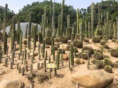 -深圳仙湖植物园-停车场