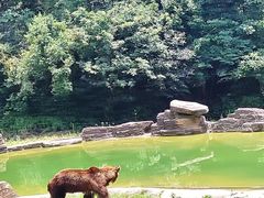 -杭州野生动物世界