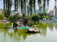 -团结湖公园