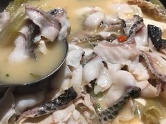 金牌黑鱼煲-新悦·霞浦海鲜生(上下杭店)