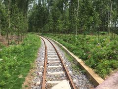 景点-合肥滨湖国家森林公园