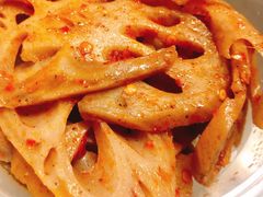 -吴家东少手撕烤鸭(绳金塔店)