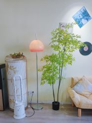 -变美丽半永久纹眉连锁·机器野生眉•洗眉