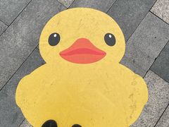 -深圳人才公园