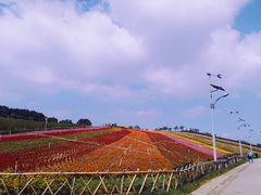 -东部华侨城