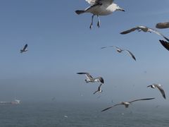 -星海广场
