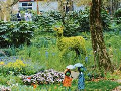 -上海共青森林公园