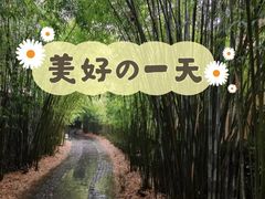 -三特浪口温泉精品酒店