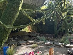 -沂蒙云瀑洞天景区