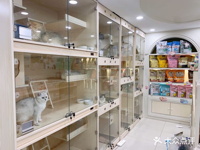 当汪遇见喵宠物店图片