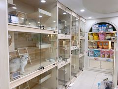 -当汪遇见喵宠物店