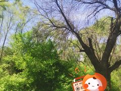 -北陵公园