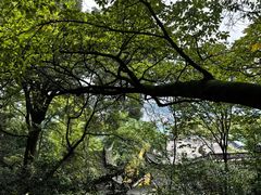 -道教老君洞